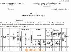 Tình Hình Lao Động Đầu Năm 2023 Chicago