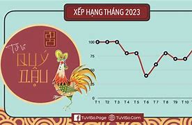 Tử Vi Nam Quý Dậu 1993 Năm 2023